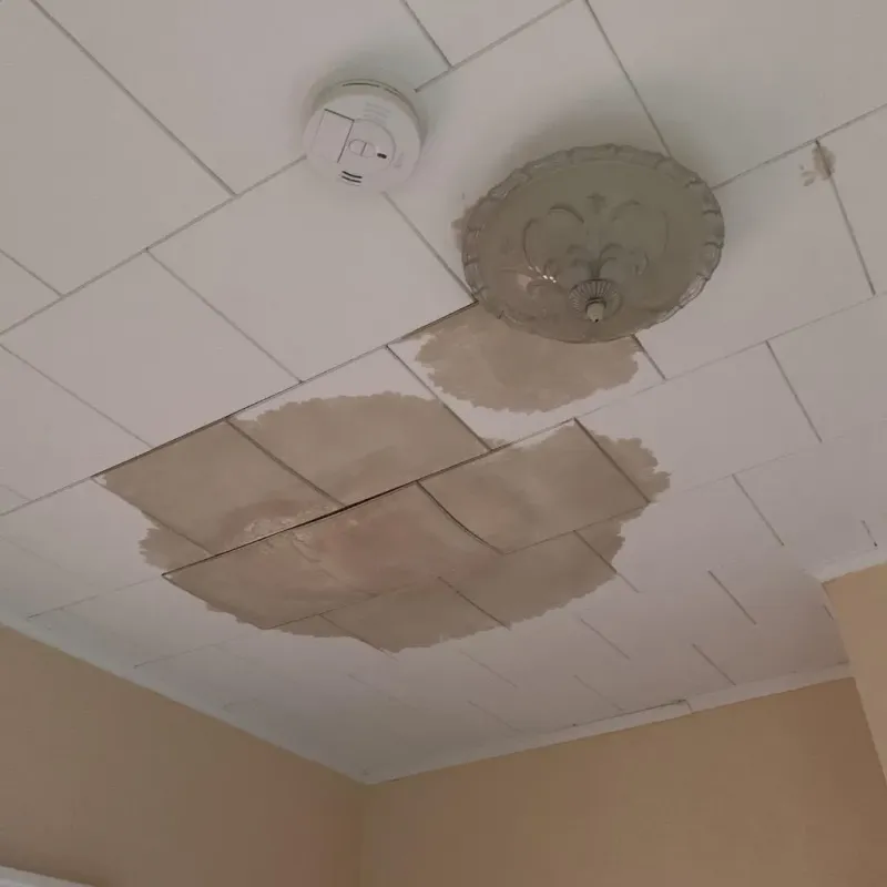 Ceiling Water Damage Repair in Windsor, PA