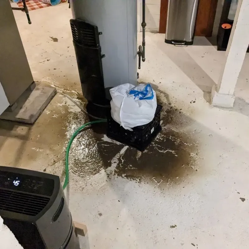 Sewage Backup Cleanup Service in Windsor, PA